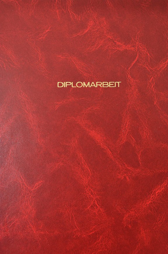 Buchcover_3.JPG 